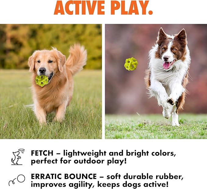 Max Fusion with Nike Grind, Arlee Gyro Treat Dispensing Dog Toy, Durable Dog Treat Toy, L-Mewly Pet