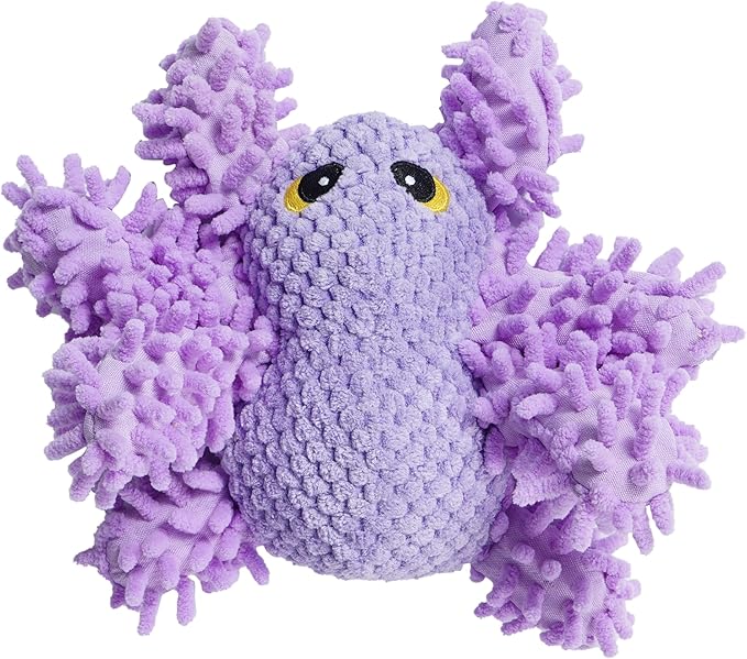 Nocciola Plush Squeaky Dog Toys, Cute Durable Stuffed Crinkle Puppy Pet Chew Toys for Large Medium Small Dogs - Spider-Mewly Pet