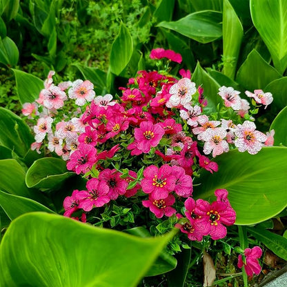 28 Bundles Silk Daisy Fake Plants Faux Flowers UV Resistant Fake Bushes Plastic Artificial Flowers Faux Outdoor Indoor Plants for Spring Summer Decoration (7 Colors)