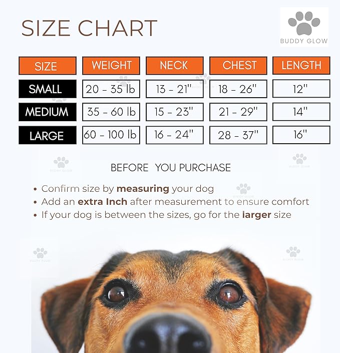 Reflective Dog Vest: Hi-Visibility Safety Gear for Outdoors. Safeguard Your Dog with Easy to wear Adjustable Reflective Vest (Small)-Mewly Pet