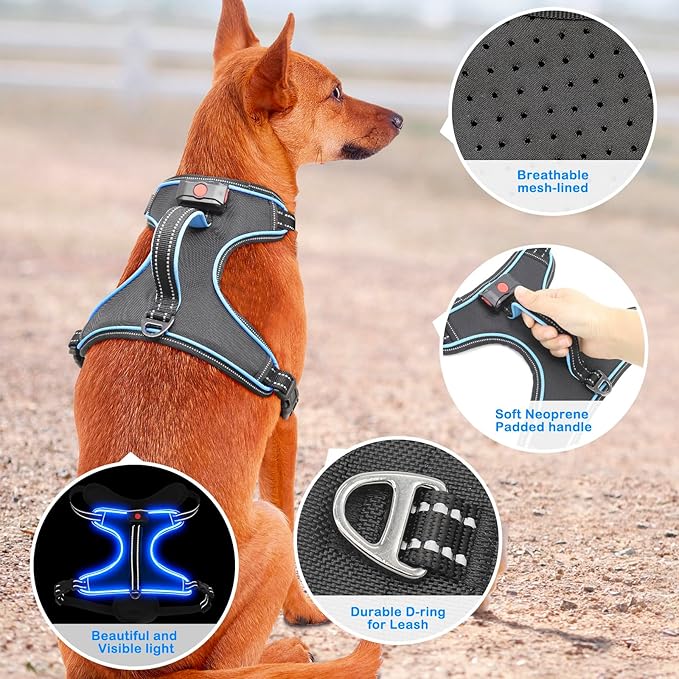 Light Up Dog Harness, No Pull LED Dog Harness with Handle, Rechargeable Lighted Safety Vest for Small Medium Large Dogs, Adjustable Soft Dog Lights for Night Walking-Mewly Pet