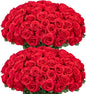 Ouddy Decor 50 Pcs Artificial Red Roses Bulk Realistic Fake Silk Flowers with Long Stems for Wedding Bridal Bouquet DIY Table Centerpieces Arrangement Valentines Home Decor