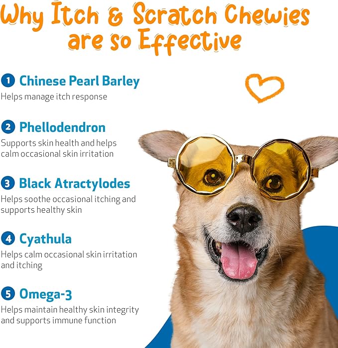 Pet Wellbeing Itch & Scratch Chewies for Dogs - Supports Healthy Itch Response to Occasional Skin Allergies, Skin Health, Chinese Pearl Barley, Phellodendron - Veterinarian-Formulated 90 Soft Chews-Mewly Pet