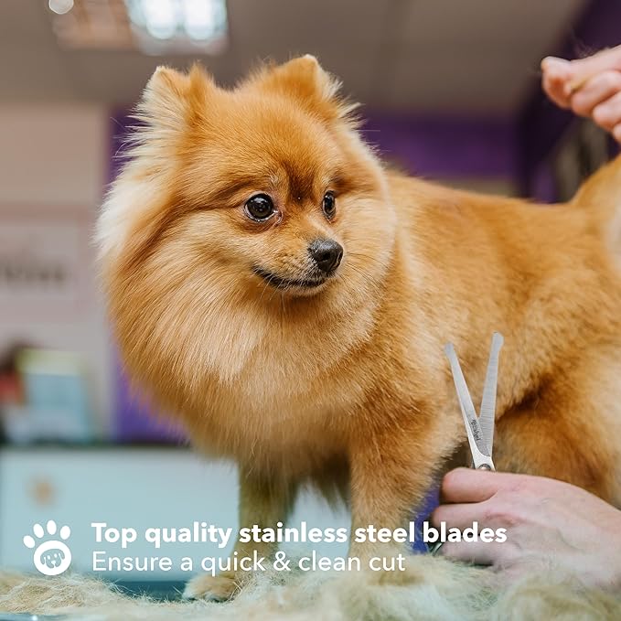 BOSHEL Dog Grooming Scissors for Dogs at Home (2 Pc) - Razor Sharp Stainless Steel Dog Scissors for Grooming - Professional Pet Scissor Set for Dogs & Cats - Best Pet Shears with Rounded Safety Tips-Mewly Pet