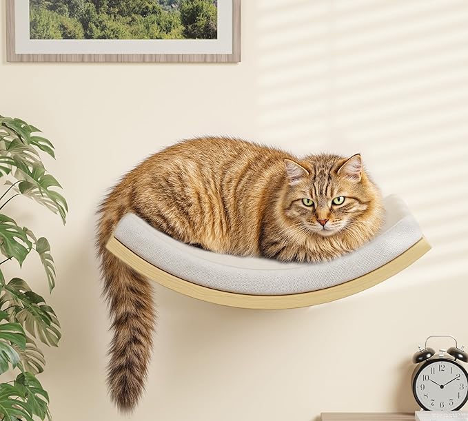 Cat Window Perches, Curved Cat Wall Beige Bed and 2 Floating Wall Steps, Wall Mounted Climbing Shelves for Sleeping, Playing, and Lounging-Mewly Pet