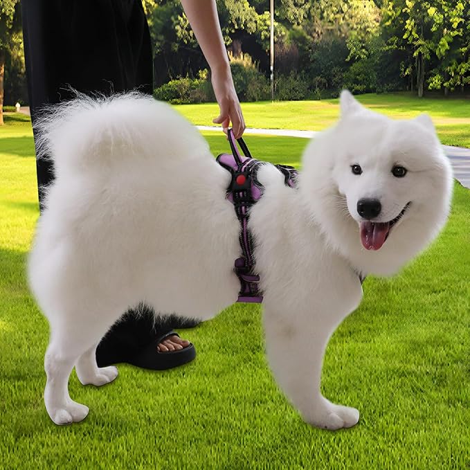 Dog Harness, Adjustable Reflective Dog Vest No Pull Dog Harness with Badge and Bow Tie for Puppy Small Medium Large Dogs-Mewly Pet