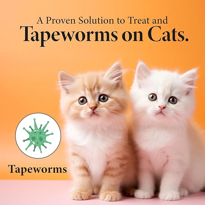 No More Tapeworms in Cats - Dewormer for Cats - 3ml Dropper-Mewly Pet