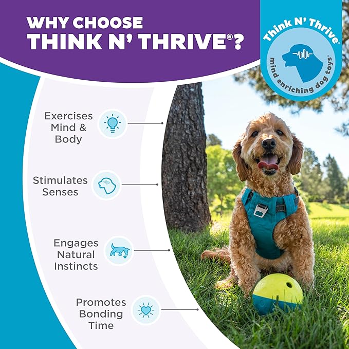 Outward Hound by Nina Ottosson Treat Tumble Interactive Puzzle Ball Dog Toy, Level 1 Beginner, Blue, Small (4.75" Diameter)-Mewly Pet