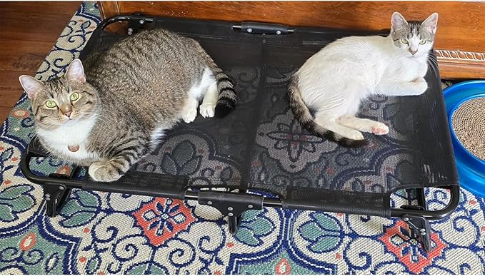 Elevated Dog Bed, Foldable Raised Dogs Bed Outdoor Dog Cots Beds for Large Dogs Cooling Outside Camping Chew-Proof No Assembly Need, Black-Mewly Pet