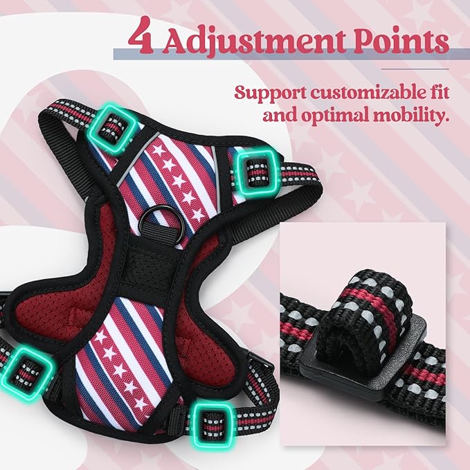 rabbitgoo Dog Harness No Pull with 2 Leash Clips, Adjustable Soft Padded, Reflective Oxford No Choke Pet Vest with Easy Control Handle for Large Dogs, Red Stripe, XS-Mewly Pet