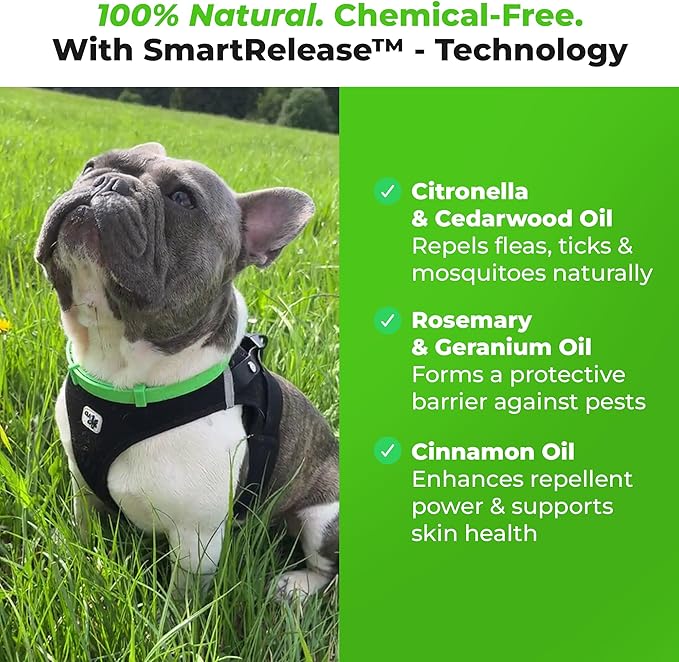 FurLife Flea and Tick Collar for Dogs – Waterproof Green Dog Collar, Pet Supplies for Tick and Flea Prevention for Dogs, Safe for All Breeds-Mewly Pet