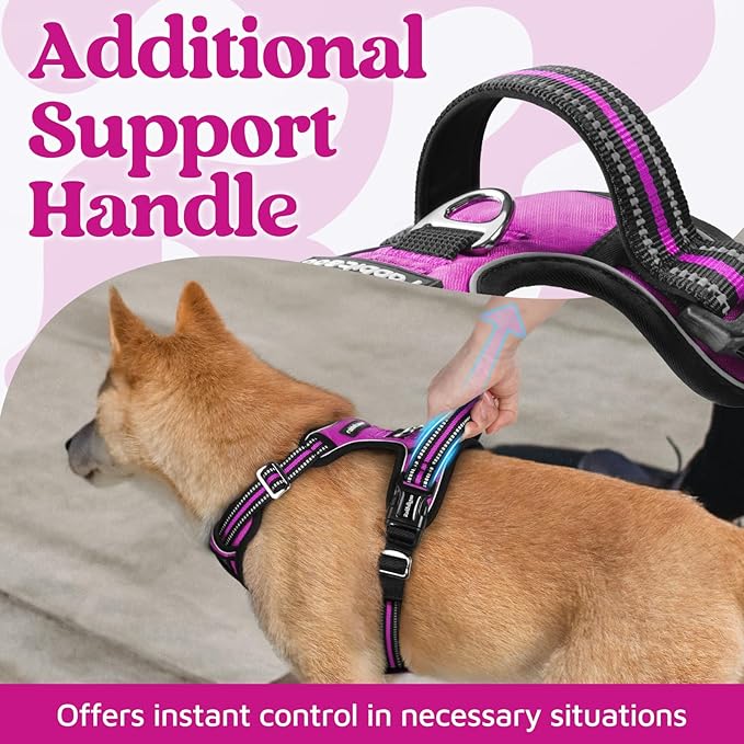 rabbitgoo Dog Harness for Large Dogs, No Pull Pet Vest with 3 Buckles, Adjustable Soft Padded Pet Harness with Easy Control Handle and Reflective Strips, Purple, L-Mewly Pet