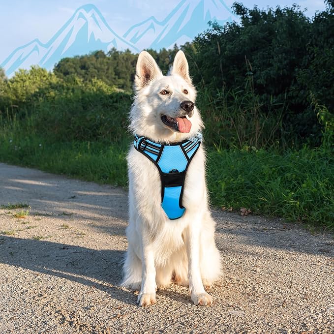 Eagloo Dog Harness Large Breed, No Pull Service Vest with Reflective Strips and Control Handle, Adjustable and Comfortable for Easy Walking, No Choke Pet Harness with 2 Metal Rings, Sky Blue, XL-Mewly Pet