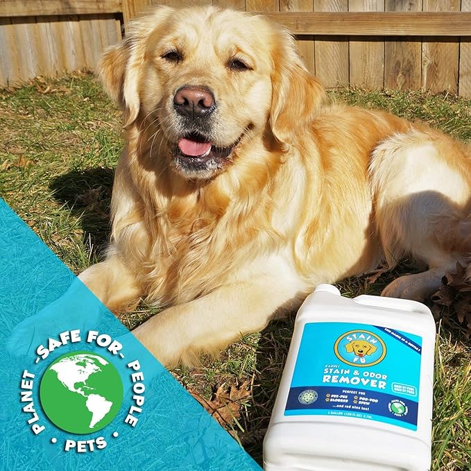 Pet Stain Odor Remover Professional Strength Powerful Eliminator for Tough Dog Cat Pet Urine Pee Poop Feces Vomit Slobber Drool Blood Wine Coffee Home Kennel Car RV Office (1 Gallon)-Mewly Pet