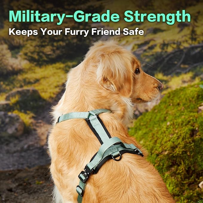 CLEPAWS Dog Harness for Medium Dogs, No Pull Dog Harness Easy Walk with Metal Hardware, Ergonomic Y-Shaped Design, Soft Padding, Padded Handle, Durable High-Tensile Nylon (Seabreeze, M)-Mewly Pet