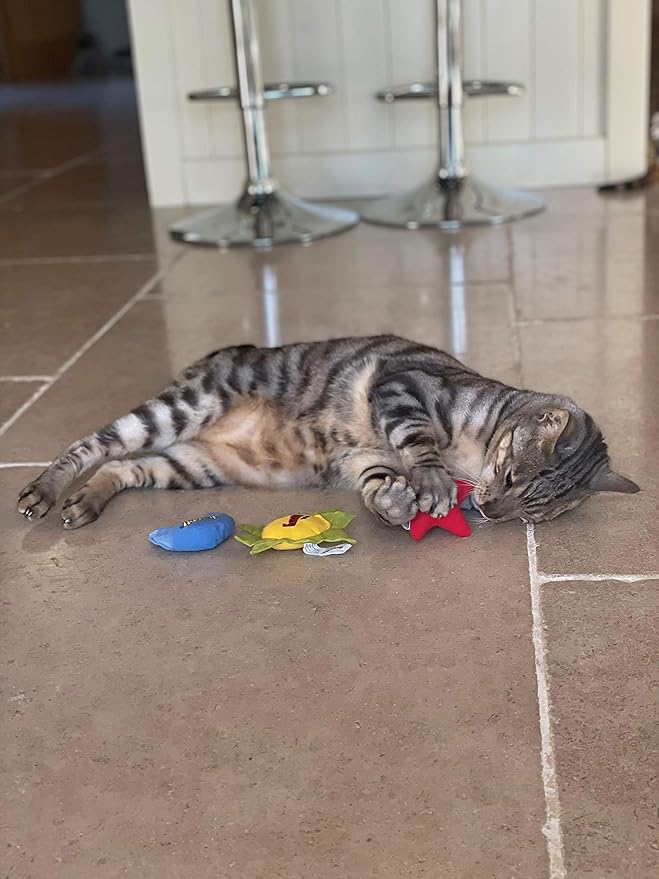 YEOWWW Catnip Cat Toy for Indoor and Outdoor Cats -Premium Quality Strong Catnip Toys for Cats (1x Crinkle Catnip Toy Sun 1 x Moon 1x Star)-Mewly Pet