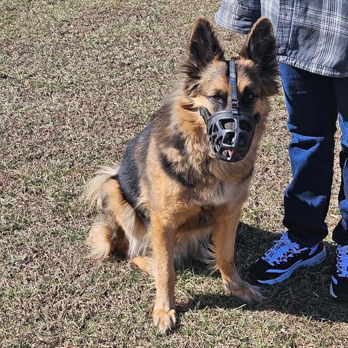 Mayerzon Dog Muzzle, Breathable Basket Muzzles for Small, Medium, Large and X-Large Aggressive Dogs Beagle German Shepherd Doberman, Cage Mouth Guard Stop Biting Chewing for Grooming Training-Mewly Pet