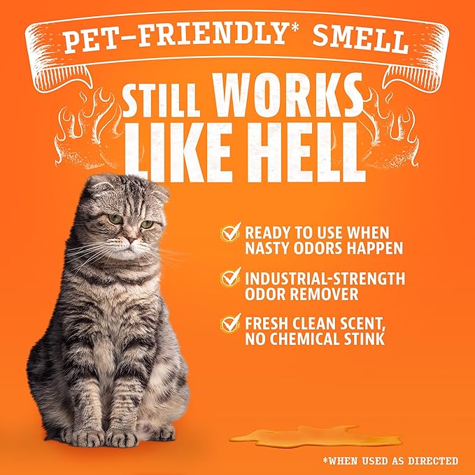 ANGRY ORANGE Pet Odor Eliminator for Cat Urine, Carpet Stains, and Strong Smells – Fresh Scent Odor Remover- 24 oz-Mewly Pet