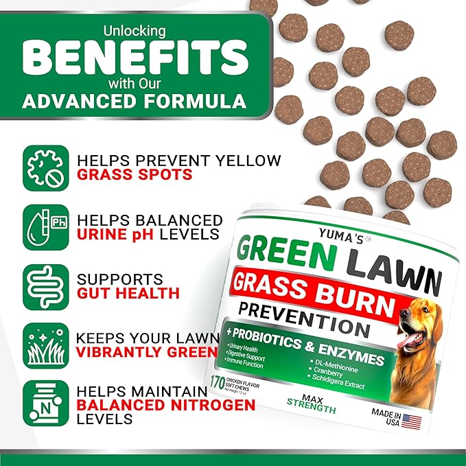 YUMA'S Dog Urine Neutralizer for Lawn - 170 Chews - Advanced Grass Green Savers for Dog Urine - Canine Pee Grass Neutralizer Supplement - Green Lawn Treats with Probiotics and Digestive Enzymes-Mewly Pet