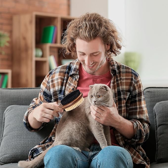 Takavu Double-Sided Boar Bristle Cat Brush - Natural Grooming Tool for Gentle Cleaning, Shine & Reduced Loose Hair - Wood Handle Pet Brush-Mewly Pet