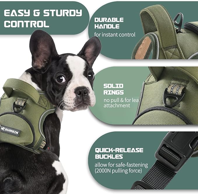 No Pull Dog Harness for Medium Dogs, Adjustable No Choke Pet Vest with Dog Leash Fit Smart Reflective Pet Walking Harness for Training Easy Control Soft Handle Green M-Mewly Pet