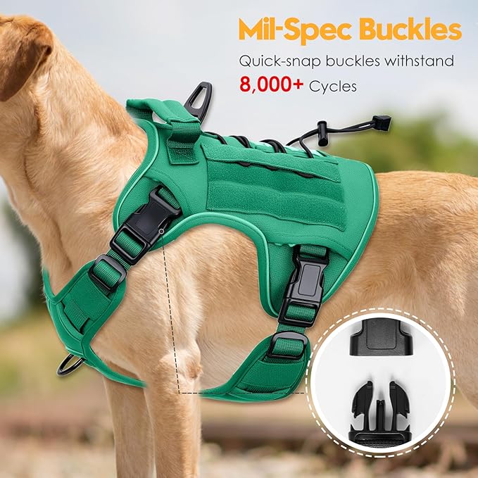 Heavy-Duty Tactical Dog Harness for Large Dogs, No Pull Adjustable Reflective Pet Vest with Molle System, K9 Military-Grade Control for Service Training, Outdoor & 10+ Breeds, Turquoise, Large-Mewly Pet