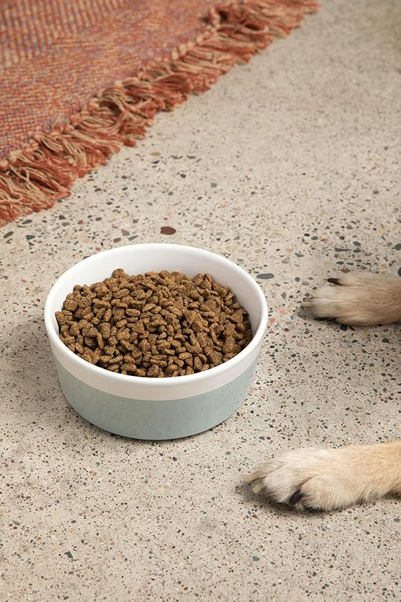 Waggo Dipper Ceramic Dog Bowl for Small and Large Breeds - Heavyweight and Durable Pet Food and Water Dish Crock, Dishwasher Safe, Modern (Cloud, Small)-Mewly Pet