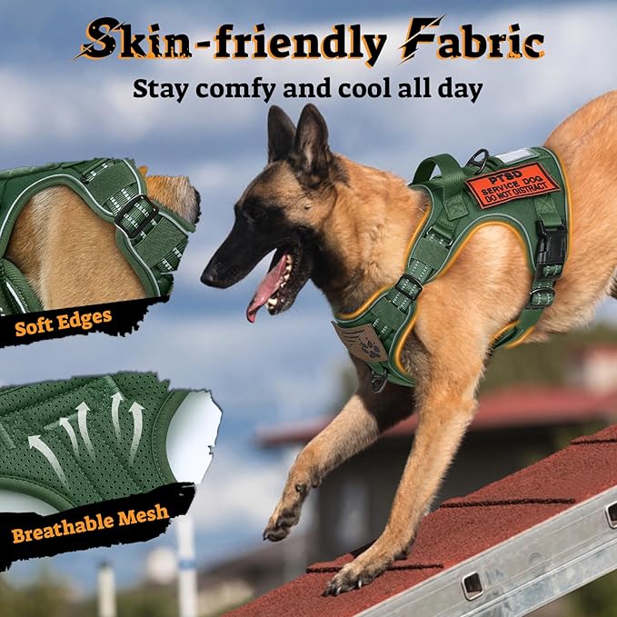 rabbitgoo Dog Harness for Large Dogs No Pull, Tactical Service Pet Vest with Molle and Control Handle, Adjustable and Reflective Military Harness for Easy Walking and Training, Green, L-Mewly Pet