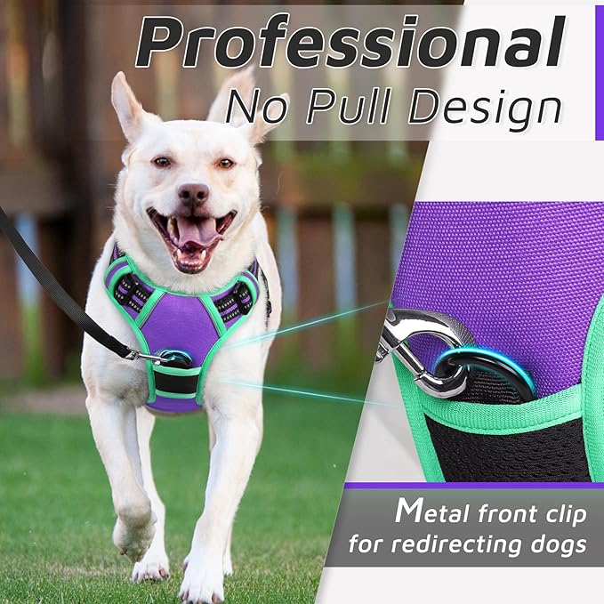 Eagloo Dog Harness for Large Dogs, No Pull Service Vest with Reflective Strips and Control Handle, Adjustable and Comfortable for Walking, No Choke Pet Harness with 2 Metal Rings, Purple & Green, L-Mewly Pet