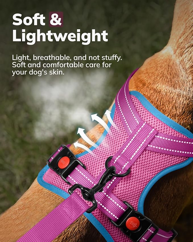 MIDOG No-Pull Dog Harness | Adjustable & Reflective Pet Harness Leash Set for Small Medium Large Dogs Walking, Training| No Choke, Front Clip, Soft Padded Vest with Easy Control Handle - Pink, L-Mewly Pet