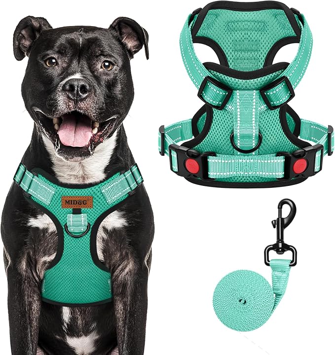 MIDOG No-Pull Dog Harness | Adjustable & Reflective Pet Harness Leash Set for Small Medium Large Dogs Walking, Training| No Choke, Front Clip, Soft Padded Vest with Easy Control Handle - Green, L-Mewly Pet