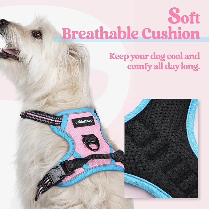 rabbitgoo Dog Harness No Pull with 2 Leash Clips, Adjustable Soft Padded, Reflective Oxford No Choke Pet Vest with Easy Control Handle for Puppy, Pink & Blue, XS-Mewly Pet