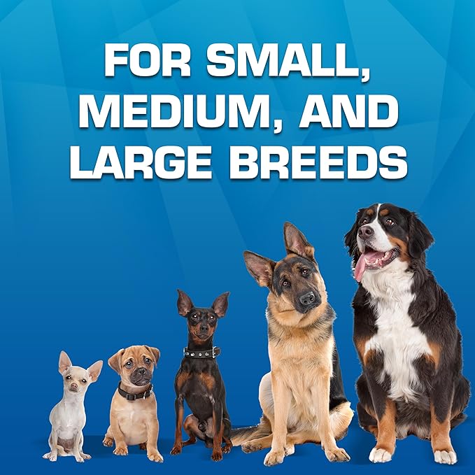 Nerf Dog Toy Gift Set, 3-Piece Set of Outdoor Dog Toys for Fetch, Includes Checker Crunch Ball, Spike LED Squeak Ball and Tire Squeak Football-Mewly Pet