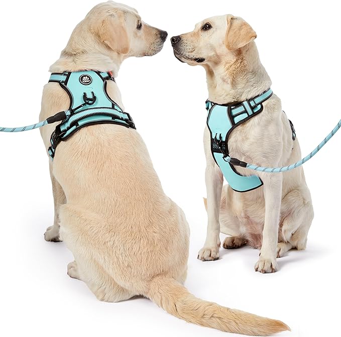 NESTROAD No Pull Dog Harness,Adjustable Oxford Dog Vest Harness with Leash,Reflective No-Choke Pet Harness with Easy Control Soft Handle for Medium Dogs(Medium,Turquoise)-Mewly Pet