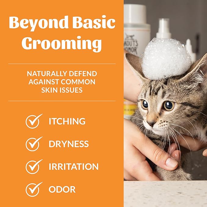 Skout's Honor Probiotic Cat Shampoo & Conditioner with Avocado Oil & Omega-3s, 97% Natural, Paraben & Sulfate-Free, Cruelty-Free, Defend Against Itch, Dryness, Irritation. 16oz, Honeysuckle-Mewly Pet