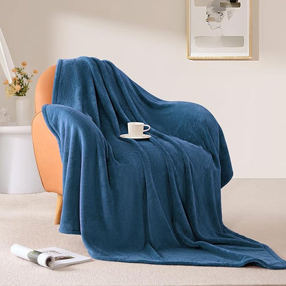 BEAUTEX Fleece Blanket King Size Super Soft Flannel Throw Blanket Lightweight Fuzzy Plush Blanket for Couch Sofa or Bed All Seasons (Dusty Blue, 108" x 90")