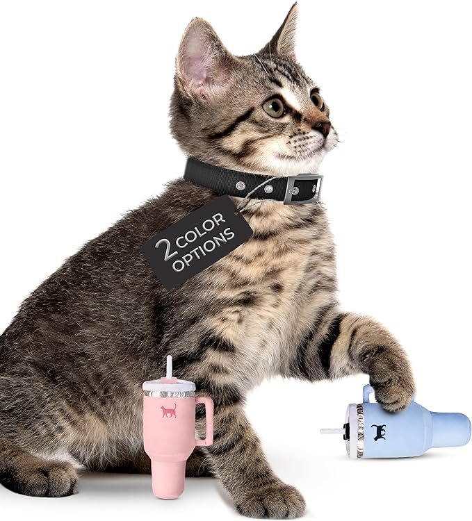 Kitty Cup Tumbler Cat Toy – Funny Cat Birthday Gifts with Catnip & Crinkle Paper, Cute Girl Kitten Toys (Chambray Blue)-Mewly Pet