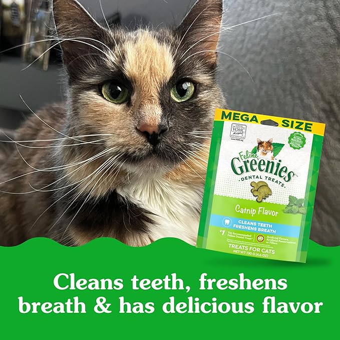 Greenies Feline Adult Dental Cat Treats, Catnip Flavor, 4.6 oz. Pack-Mewly Pet