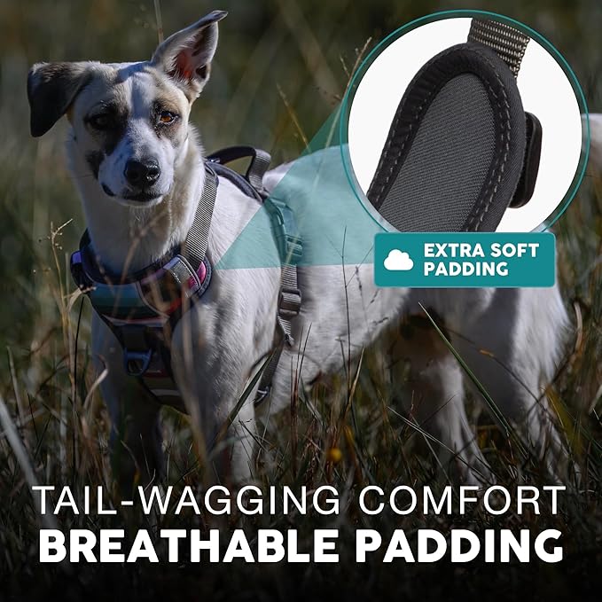 Embark Adventure Dog Harness, Reflective Trim No Pull Dog Harnesses for Small Sized Dogs - Military Grade Nylon, Front Clip with Gel Lined Handle. Soft & Padded Puppy-Mewly Pet