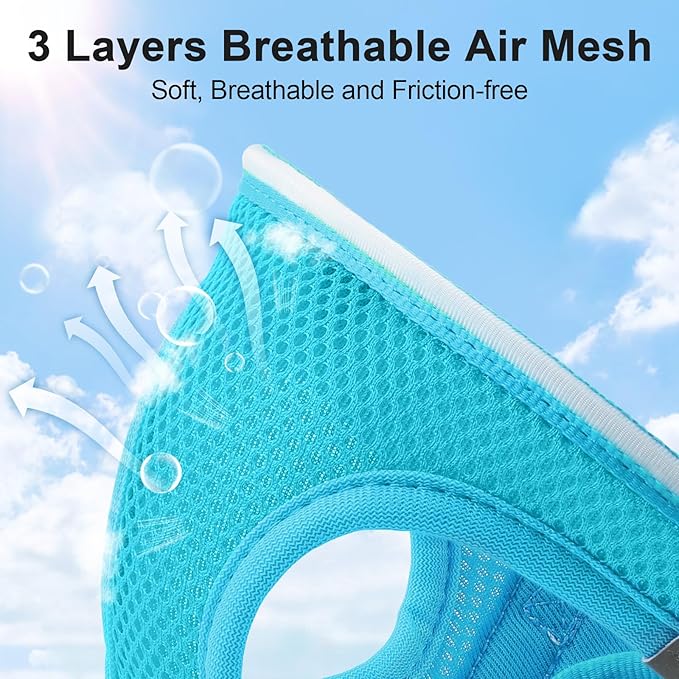 Light Up Dog Harness,Rechargeable LED Dog Harness for Small Medium Large Dogs,Reflective Lighted Safety Vest for Night Walking & Camping,Lightweight & Adjustable,Blue,S-Mewly Pet