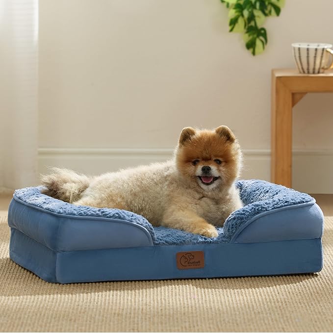 Bedsure Orthopedic Dog Beds for Small Dogs - Washable Small Dog Cat Bed Waterproof, Comfort Pet Couch Sofa with Washable Removable Cover, Pets Bed with Nonskid Bottom, Plush-Blue, 24"-Mewly Pet