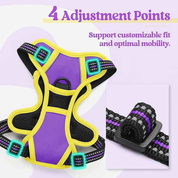 rabbitgoo Dog Harness No Pull with 2 Leash Clips, Adjustable Soft Padded, Reflective Oxford No Choke Pet Vest with Easy Control Handle for Puppy, Purple & Yellow, XS-Mewly Pet