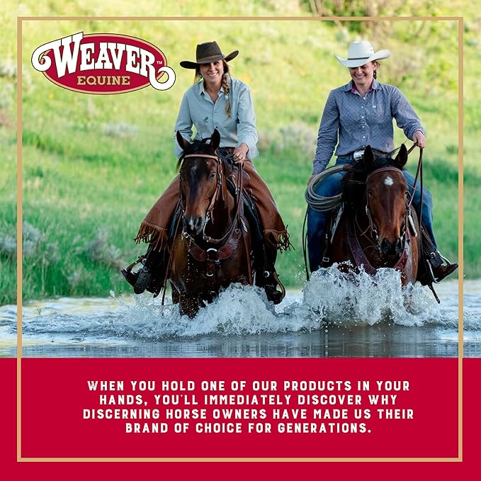 Weaver Equine 6-Piece Horse Grooming Kit, Ergonomic Gentle Horse Care Kit, Equestrian Supplies for Bathing Support, Detangling, and More, Purple/Black-Mewly Pet