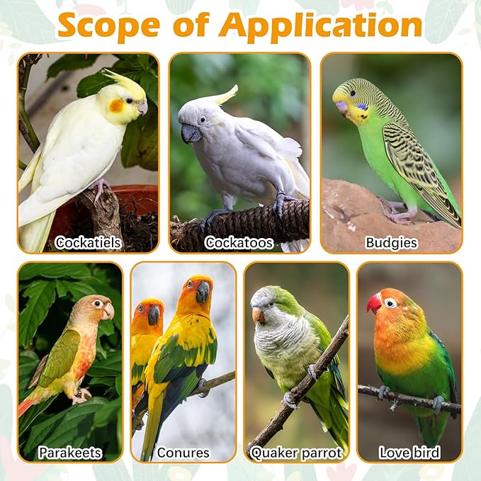 kathson 8 PCS Natural Bird Wood Perch Parakeet Standing Toy Sticks Parrot Paw Grinding Branches Cockatiels Cage Chewable Accessories for Conures Macaws Finches-Mewly Pet