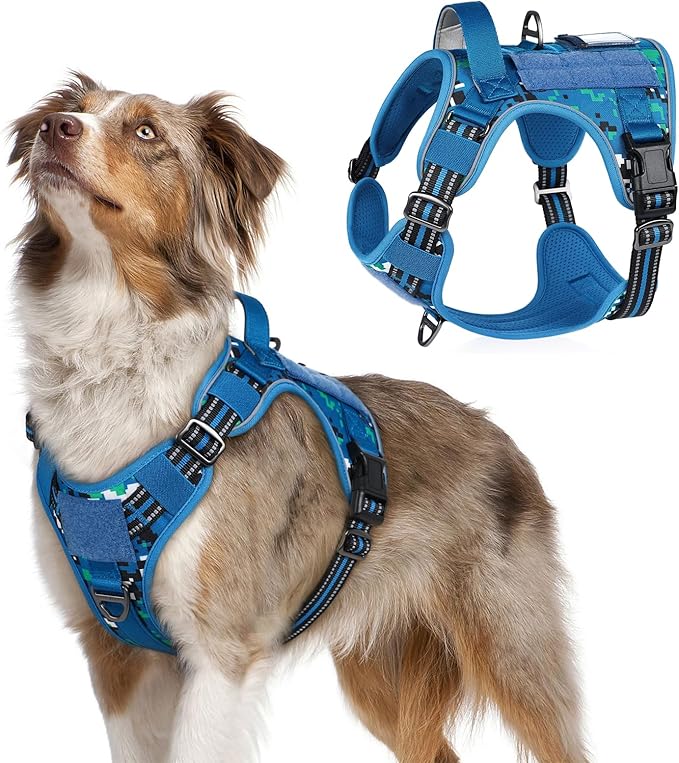 rabbitgoo Tactical Dog Harness Medium Sized Dog, No Pull Military Service Vest with Handle & Molle, Easy Control for Training Walking, Adjustable Reflective Straps, Blue Camo, M-Mewly Pet