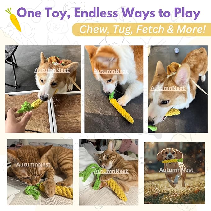 3PCS Yellow Woven Pet Chew Set, Puppy Teething Chews, Dog Chew Accessories, Cat Interactive Chews, Durable Braided Chews for Pets-Mewly Pet