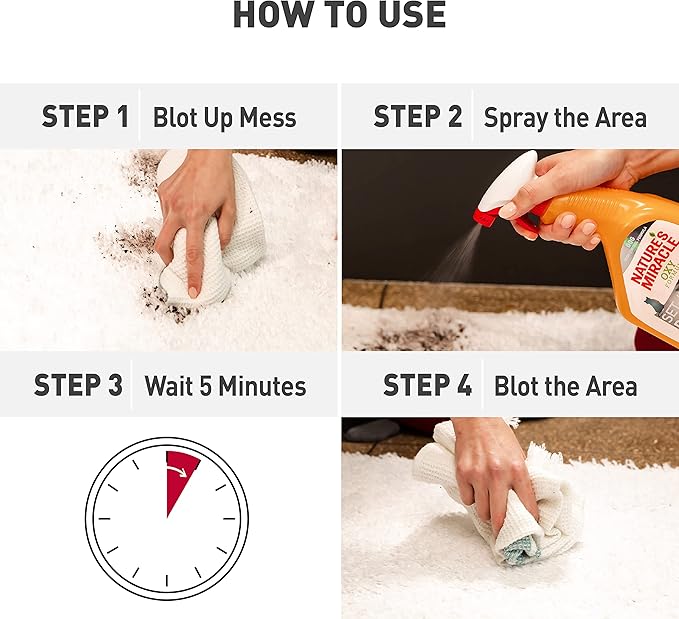 Nature’s Miracle Set-In Stain Destroyer, 1 Gallon, For Cat Messes, Oxy Formula With Orange Scent-Mewly Pet