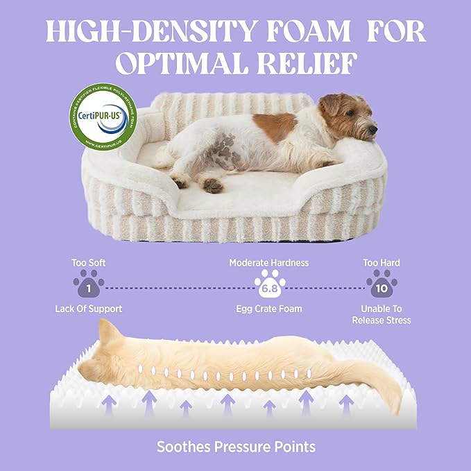 LE SURE Cute Dog Beds Large Sized Dog, Orthopedic Waterproof Large Pet Bed with Sides, Non-Slip Bottom and Egg-Crate Foam Pet Couch Sofa with Washable Removable Cover, Beige-Mewly Pet