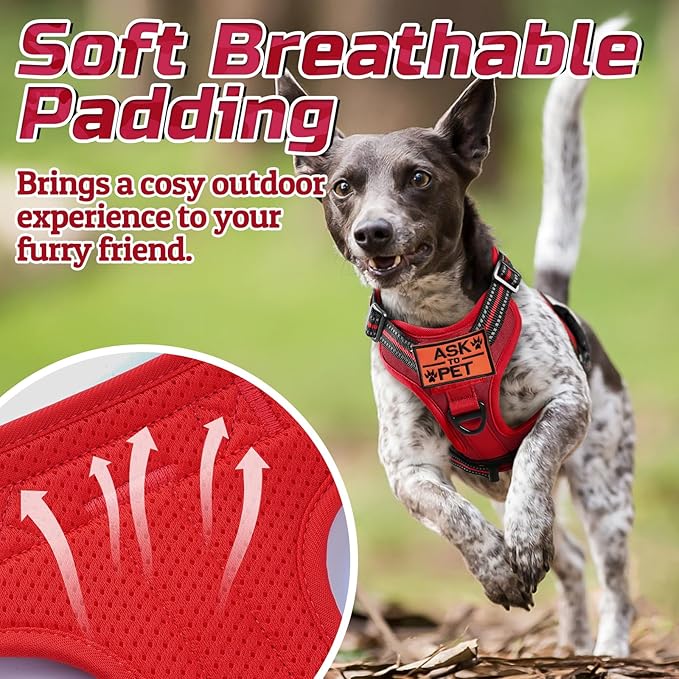 rabbitgoo Tactical Dog Harness for Small Dogs, No Pull Military Service Vest with Handle & Molle, Easy Control for Training Walking, Adjustable Reflective Straps, Red, S-Mewly Pet