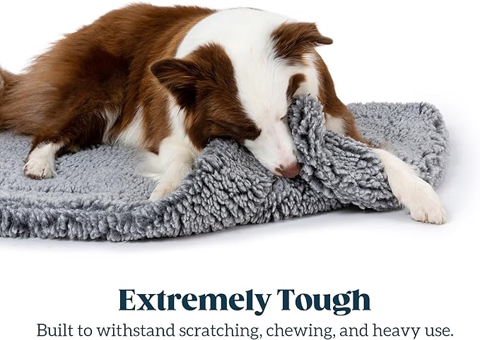 Stoutwool Indestructible Dog Bed - Fluffy Chew Proof Dog Crate Pad - Tough Kennel Pad for Aggressive Chewers - Washable, Ideal for Jumbo Breeds & Fits 54-Inch Crate - 53"x35", Charcoal-Mewly Pet